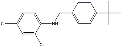 N-[(4-tert-butylphenyl)methyl]-2,4-dichloroaniline Structure