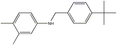 N-[(4-tert-butylphenyl)methyl]-3,4-dimethylaniline 结构式