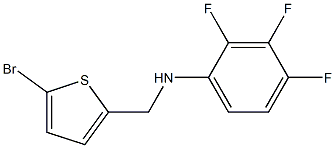 N-[(5-bromothiophen-2-yl)methyl]-2,3,4-trifluoroaniline 结构式