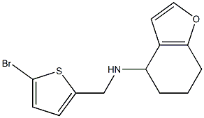 N-[(5-bromothiophen-2-yl)methyl]-4,5,6,7-tetrahydro-1-benzofuran-4-amine Structure