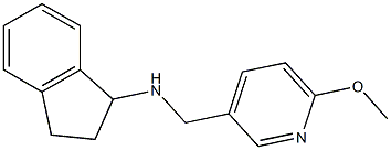 N-[(6-methoxypyridin-3-yl)methyl]-2,3-dihydro-1H-inden-1-amine Struktur