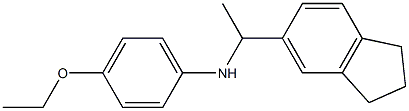 N-[1-(2,3-dihydro-1H-inden-5-yl)ethyl]-4-ethoxyaniline 结构式