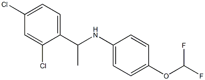 N-[1-(2,4-dichlorophenyl)ethyl]-4-(difluoromethoxy)aniline Structure