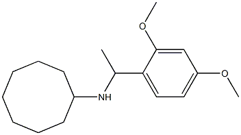 N-[1-(2,4-dimethoxyphenyl)ethyl]cyclooctanamine Structure