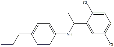 N-[1-(2,5-dichlorophenyl)ethyl]-4-propylaniline 结构式