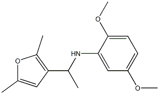 N-[1-(2,5-dimethylfuran-3-yl)ethyl]-2,5-dimethoxyaniline