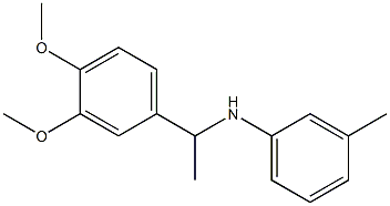 N-[1-(3,4-dimethoxyphenyl)ethyl]-3-methylaniline 结构式