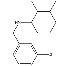 N-[1-(3-chlorophenyl)ethyl]-2,3-dimethylcyclohexan-1-amine Structure