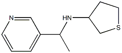 N-[1-(pyridin-3-yl)ethyl]thiolan-3-amine Structure