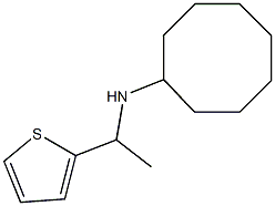 N-[1-(thiophen-2-yl)ethyl]cyclooctanamine Structure