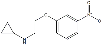 N-[2-(3-nitrophenoxy)ethyl]cyclopropanamine Struktur