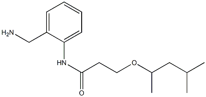 N-[2-(aminomethyl)phenyl]-3-[(4-methylpentan-2-yl)oxy]propanamide Struktur