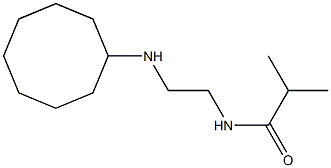 N-[2-(cyclooctylamino)ethyl]-2-methylpropanamide Structure