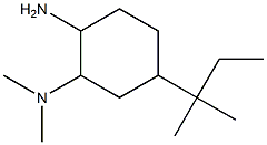 N-[2-amino-5-(1,1-dimethylpropyl)cyclohexyl]-N,N-dimethylamine,,结构式