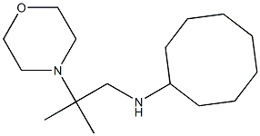 N-[2-methyl-2-(morpholin-4-yl)propyl]cyclooctanamine 结构式