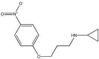 N-[3-(4-nitrophenoxy)propyl]cyclopropanamine Struktur