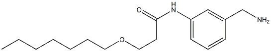 N-[3-(aminomethyl)phenyl]-3-(heptyloxy)propanamide Structure