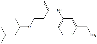 N-[3-(aminomethyl)phenyl]-3-[(4-methylpentan-2-yl)oxy]propanamide Structure