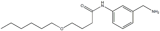N-[3-(aminomethyl)phenyl]-4-(hexyloxy)butanamide Struktur