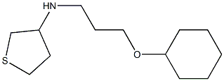 N-[3-(cyclohexyloxy)propyl]thiolan-3-amine,,结构式