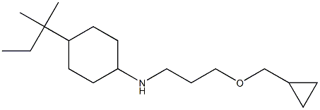 N-[3-(cyclopropylmethoxy)propyl]-4-(2-methylbutan-2-yl)cyclohexan-1-amine