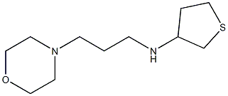 N-[3-(morpholin-4-yl)propyl]thiolan-3-amine Structure