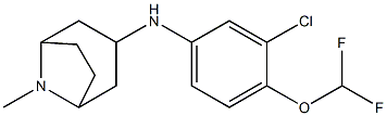 N-[3-chloro-4-(difluoromethoxy)phenyl]-8-methyl-8-azabicyclo[3.2.1]octan-3-amine Struktur