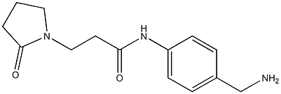N-[4-(aminomethyl)phenyl]-3-(2-oxopyrrolidin-1-yl)propanamide Structure