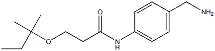N-[4-(aminomethyl)phenyl]-3-[(2-methylbutan-2-yl)oxy]propanamide Struktur