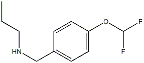 N-[4-(difluoromethoxy)benzyl]-N-propylamine 化学構造式