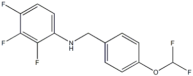 N-{[4-(difluoromethoxy)phenyl]methyl}-2,3,4-trifluoroaniline 结构式