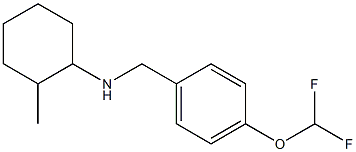 N-{[4-(difluoromethoxy)phenyl]methyl}-2-methylcyclohexan-1-amine