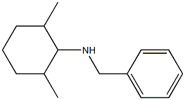 N-benzyl-2,6-dimethylcyclohexan-1-amine Structure