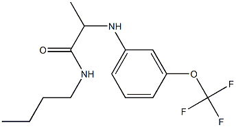 N-butyl-2-{[3-(trifluoromethoxy)phenyl]amino}propanamide 化学構造式