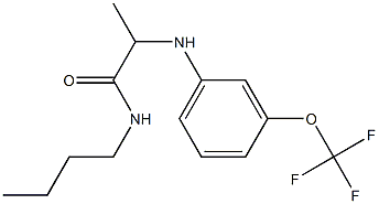 N-butyl-2-{[3-(trifluoromethoxy)phenyl]amino}propanamide|