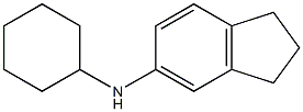 N-cyclohexyl-2,3-dihydro-1H-inden-5-amine