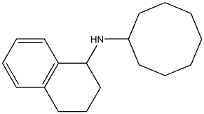 N-cyclooctyl-1,2,3,4-tetrahydronaphthalen-1-amine Struktur