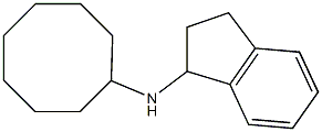 N-cyclooctyl-2,3-dihydro-1H-inden-1-amine 结构式