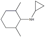 N-cyclopropyl-N-(2,6-dimethylcyclohexyl)amine 化学構造式