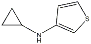 N-cyclopropyl-N-tetrahydrothien-3-ylamine Struktur