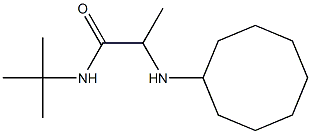 N-tert-butyl-2-(cyclooctylamino)propanamide Structure