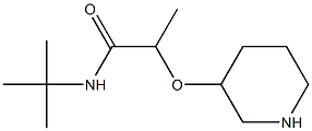 N-tert-butyl-2-(piperidin-3-yloxy)propanamide 化学構造式