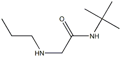 N-tert-butyl-2-(propylamino)acetamide Struktur