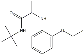 N-tert-butyl-2-[(2-ethoxyphenyl)amino]propanamide|