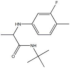 N-tert-butyl-2-[(3-fluoro-4-methylphenyl)amino]propanamide|