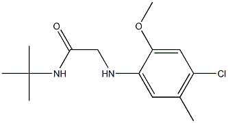 N-tert-butyl-2-[(4-chloro-2-methoxy-5-methylphenyl)amino]acetamide 化学構造式