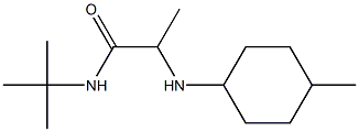 N-tert-butyl-2-[(4-methylcyclohexyl)amino]propanamide