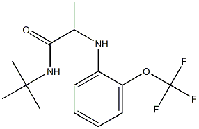 N-tert-butyl-2-{[2-(trifluoromethoxy)phenyl]amino}propanamide