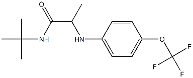 N-tert-butyl-2-{[4-(trifluoromethoxy)phenyl]amino}propanamide,,结构式