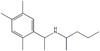 pentan-2-yl[1-(2,4,5-trimethylphenyl)ethyl]amine 结构式